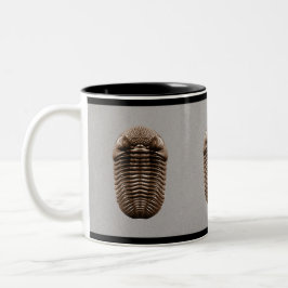 Trilobite Tasse