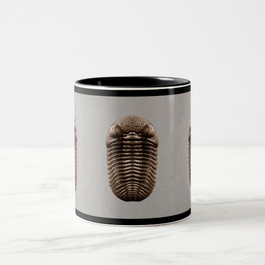 Trilobite Tasse (Mittel)