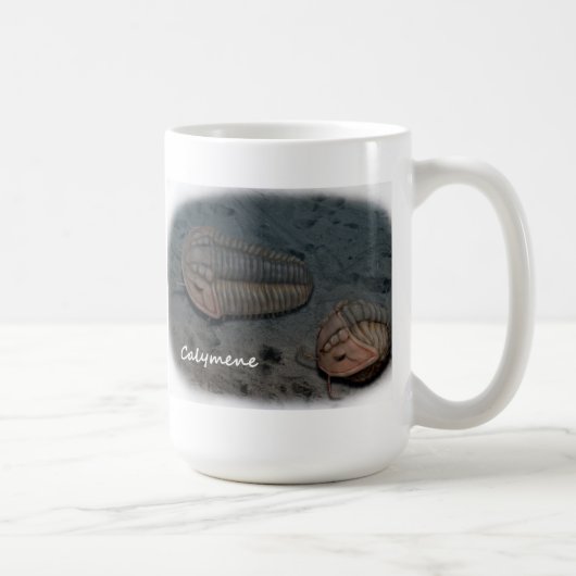 Trilobite Tasse (Rechts)