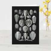 Trilobiten und Sea Scorpions Karte (Gelbe Blume)