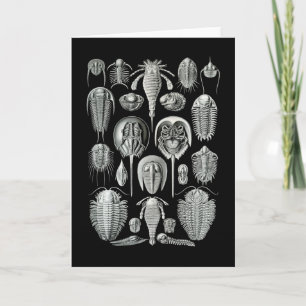 Trilobiten und Sea Scorpions Karte