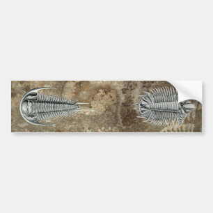 Trilobites Autoaufkleber