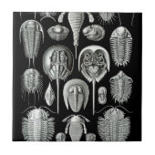 Trilobites und Fossilien in Schwarzweiss Fliese (Vorderseite)