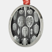 Trilobites und Fossilien in Schwarzweiss Silbernes Ornament (Links)