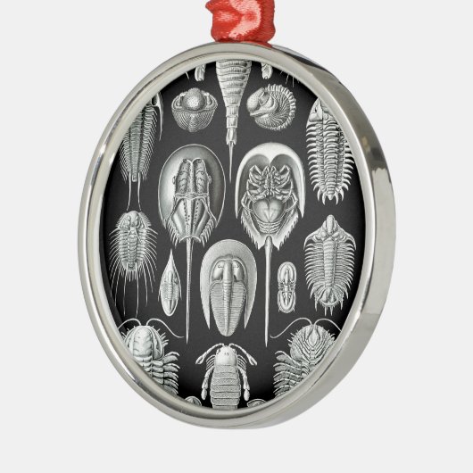 Trilobites und Fossilien in Schwarzweiss Silbernes Ornament (Links)