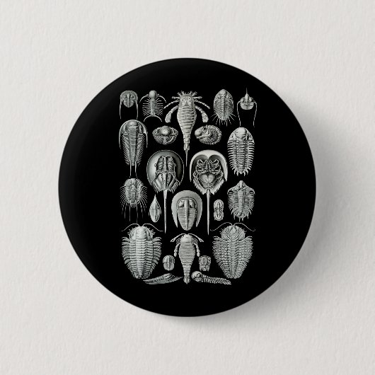 Trilobites und Seeskorpione Button (Vorderseite)
