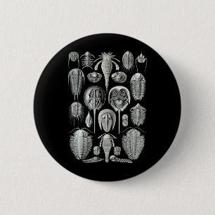 Trilobites und Seeskorpione Button