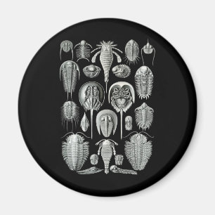 Trilobites und Seeskorpione Magnet
