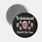 Trilobitten Magnet (Vorderseite/Rückseite)