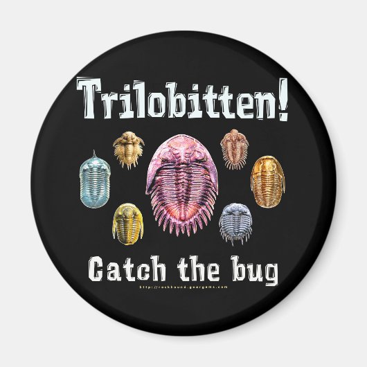 Trilobitten Magnet (Vorne)
