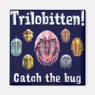 Trilobitten Magnet