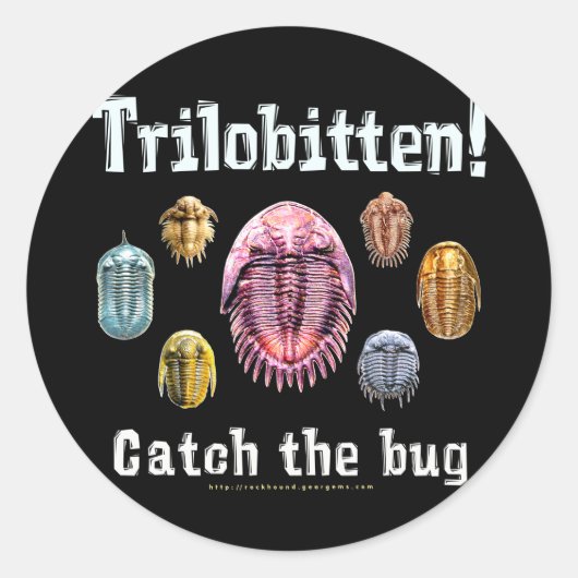 Trilobitten Runder Aufkleber (Vorderseite)