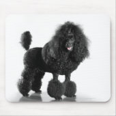 Trimmschwarz Poodle Mousepad (Vorne)