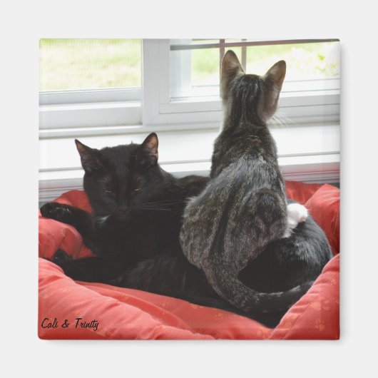 Trinity & Cali Magnet (Vorne)