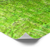 Trinity Landkreis Red Bud Baum...... Poster (Ecke)