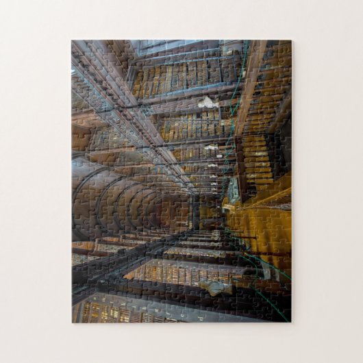 Trinity Library Dublin Irland. Puzzle (Vertikal)