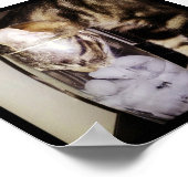 Trink Dieb Cat von Shirley Taylor Poster (Ecke)