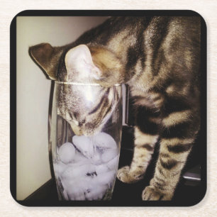 Trink Dieb Cat von Shirley Taylor Rechteckiger Pappuntersetzer