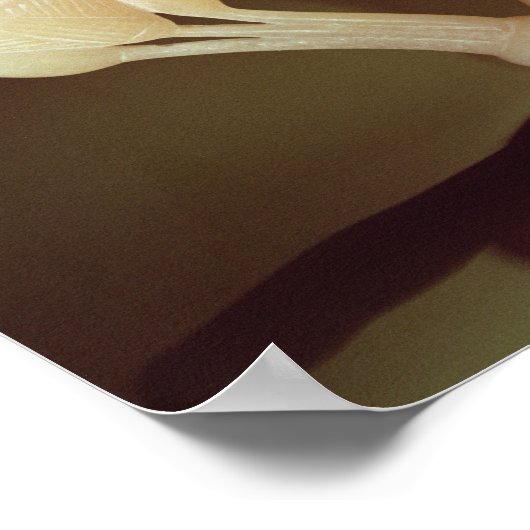 Trinkbecher in Form einer halb geöffneten Poster (Ecke)