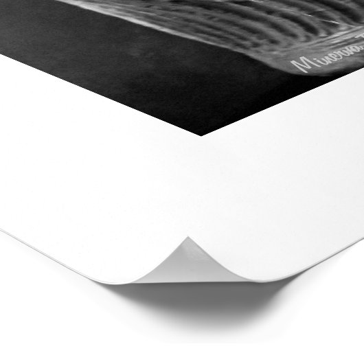 Trinkbrunnen Rom Poster (Ecke)