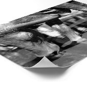 Trinken Longhorn Poster (Ecke)