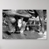 Trinken Longhorn Poster (Vorne)