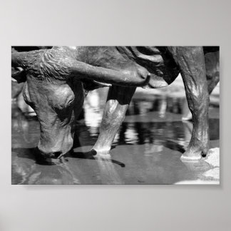 Trinken Longhorn Poster