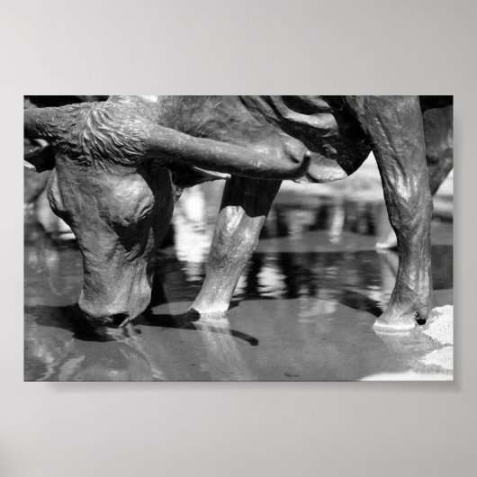 Trinken Longhorn Poster (Vorne)