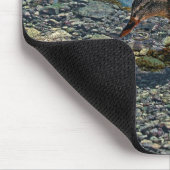 Trinken Mallard Duck Birdlover Wildnis Mousepad (Ecke)