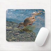 Trinken Mallard Duck Birdlover Wildnis Mousepad (Mit Mouse)