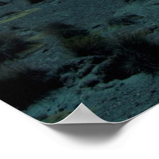 Trinken Sie das Meer Poster (Ecke)