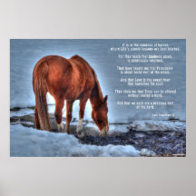 Trinken von Red Dun Ranch Horse & Equine Gedicht