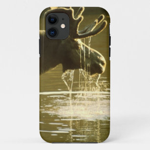 Trinkende Elche - CaseMate iPhone 5 Abdeckung 11 Hülle