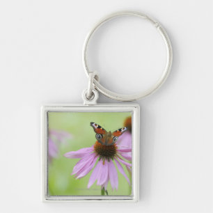 Trinkender Nektar des Pfauschmetterlinges (Inachis Schlüsselanhänger