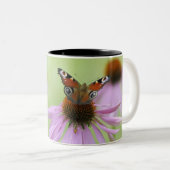 Trinkender Nektar des Pfauschmetterlinges (Inachis Zweifarbige Tasse (VorderseiteRechts)