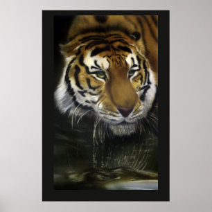 Trinkender Tiger Poster