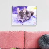 Trinket! - Chinchilla Canvas Print Leinwanddruck (Insitu (Wohnzimmer))