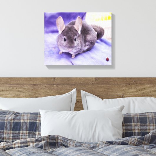 Trinket! - Chinchilla Canvas Print Leinwanddruck (Insitu (Schlafzimmer))