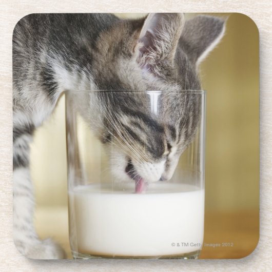 Trinkmilch des Kätzchens vom Glas Untersetzer (Vorderseite)