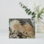 Trio-Age Pilze Postkarte (Stehend Vorderseite)