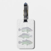Trio Blauer und Grüner Fisch Gepäckanhänger (Rückseite vertikal)