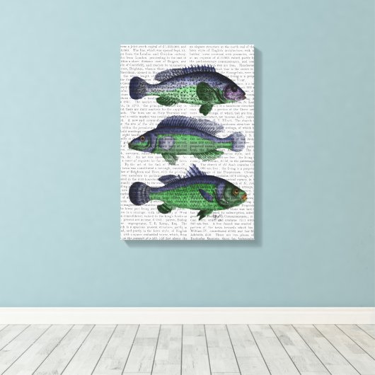 Trio Blauer und Grüner Fisch Leinwanddruck (Insitu (Holzboden))