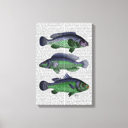 Trio Blauer und Grüner Fisch Leinwanddruck (Vorderseite)