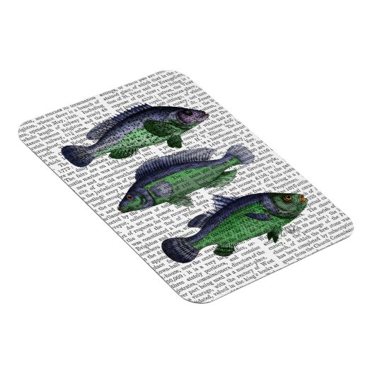 Trio Blauer und Grüner Fisch Magnet (Rechte Seite)