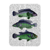 Trio Blauer und Grüner Fisch Magnet (Vertikal)