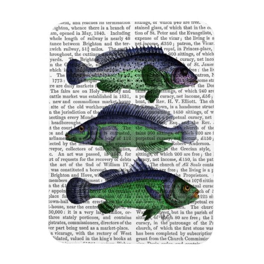 Trio Blauer und Grüner Fisch Magnet (Vertikal)