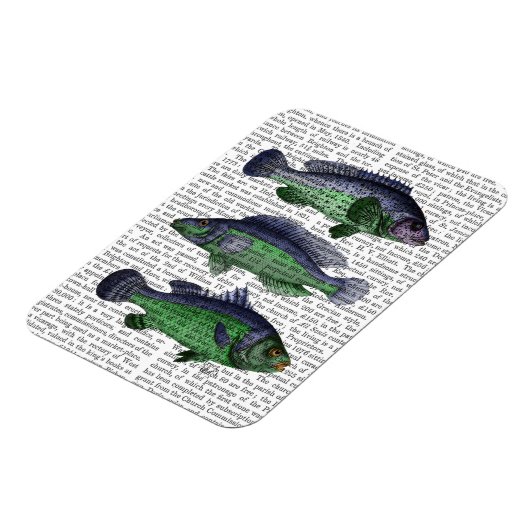Trio Blauer und Grüner Fisch Magnet (Linke Seite)