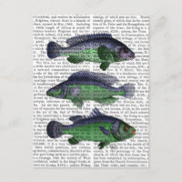 Trio Blauer und Grüner Fisch