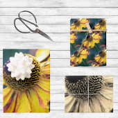 Trio der Gold- und Lila Helenium-Blume Geschenkpapier Set