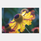 Trio der Gold- und Lila Helenium-Blume Geschenkpapier Set (Vorderseite)